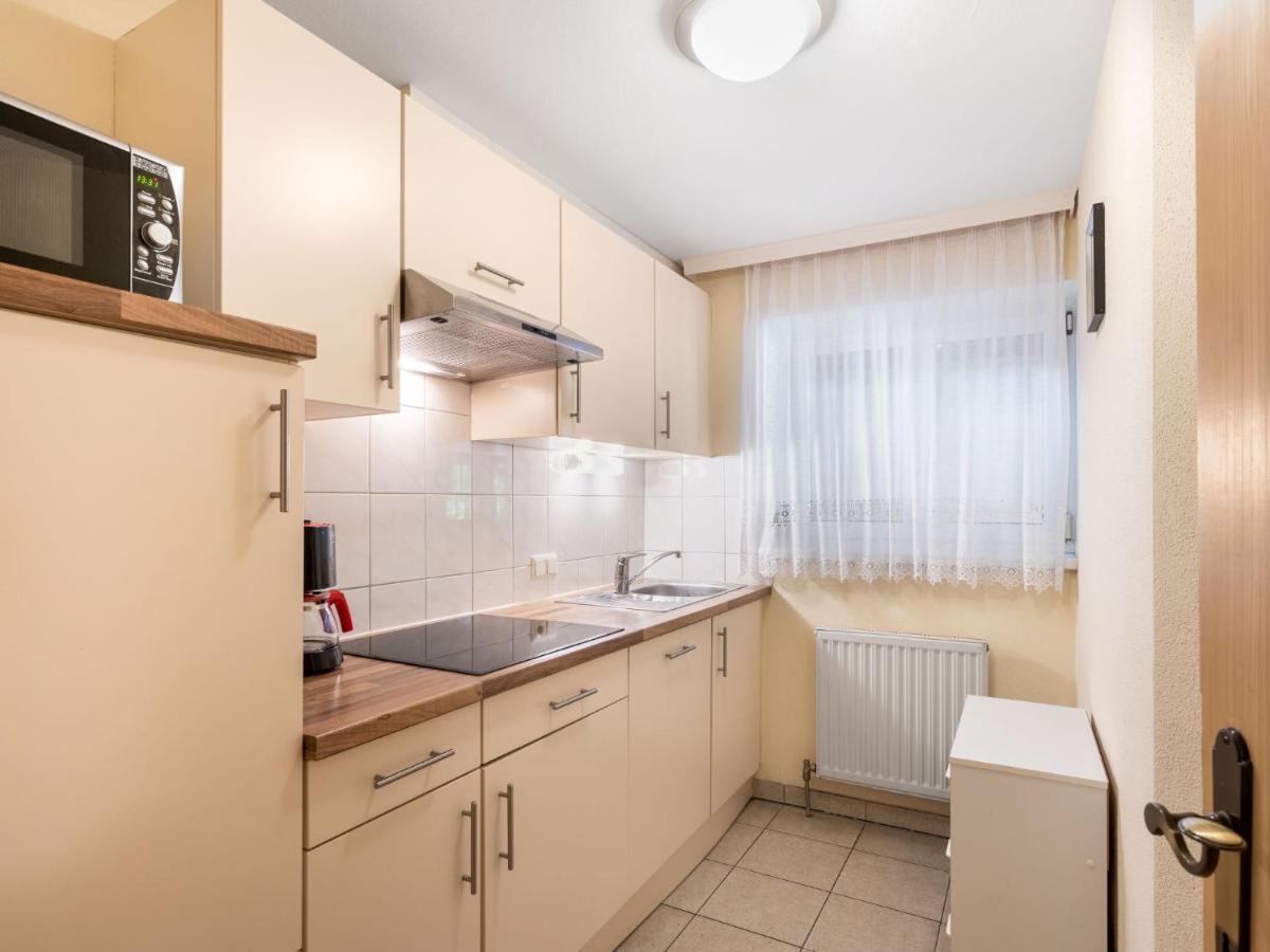 Apartment Rosa-3 By Interhome Майерхофен Екстериор снимка